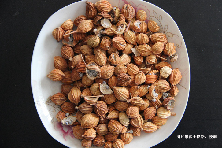 馬來西亞肉豆蔻進口報關流程