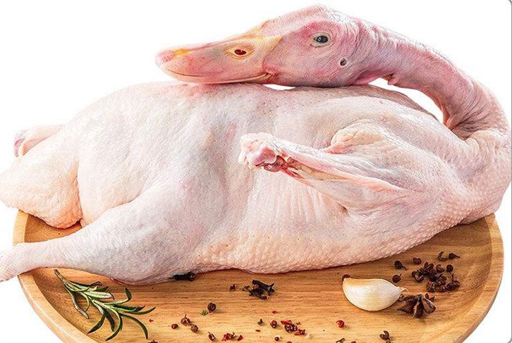 進口美國冷凍鴨肉報關流程