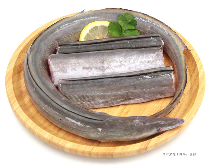 馬來西亞冷凍鰻魚進口報關(guān)