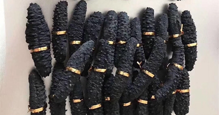 澳大利亞海參進口報關(guān)資料