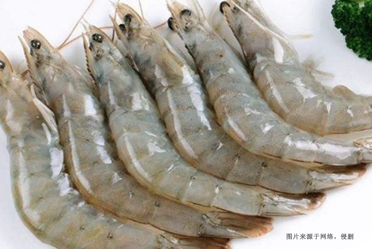 進口泰國冷凍白對蝦報關(guān)費用