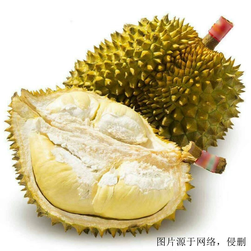 廣州進口越南榴蓮報關流程_越南胡志明港海運費用